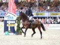 IMG_1286 Maurice Tebbel u. Chaccos´ Son (Paderborn 2016)