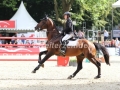IMG_1694 Willem Greve u. Eldorado v. Zeshoek TN (Paderborn 2016)