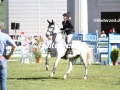 IMG_4808 Janne-Friederike Meyer-Zimmermann u. Buettners Minimax (Redefin 2018)