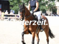 EF3A5319-Stephi-de-Boer-u.-Quirana-7-Riesenbeck-2024