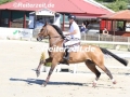 IMG_0992 Andreas Ripke u. Coranos (Schuelp 2018)