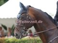 EF3A3115-Toni-Hassmanns-Contendrix-Hoerup-2025