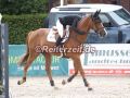 EF3A3608-Linn-Hamann-u.-Cool-Fox-5-Hoerup-2025