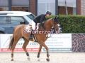 EF3A3611-Linn-Hamann-u.-Cool-Fox-5-Hoerup-2025