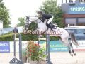 EF3A3672-Simon-Heineking-u.-Early-bird-Hoerup-2025