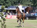 IMG_8174 Johanna Weber u. Steuerberhof´s Excellent Jum (Schenefeld 2016)