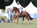IMG_8335 Werner Dittmer u. Ferdinand 273 (Schenefeld 2016)