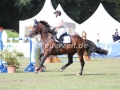 IMG_8409 Laura Jane Hackbarth u. Afina 6 (Schenefeld 2016