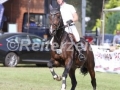 IMG_8437 Eoin Ryan u. Calito 31 (Schenefeld 2016)