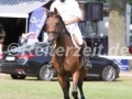 IMG_8492 Kai Rüder u. Priceless 8 (Schenefeld 2016)