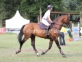 IMG_8872 Jennifer Fogh Pedersen u. Canstakko (Schenefeld 2016)