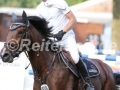 IMG_9145 Eoin Ryan u. Pascalino 7 (Schenefeld 2016)