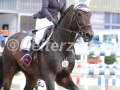 IMG_6808 Ana Carolina Sandoval Munoz u. Amarillo 93 (Tangstedt 2016)