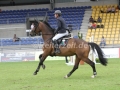 IMG_1359 Carsten-Otto Nagel u. Alina 440 (Verden 2015)