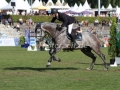 IMG_4626 Alexander Hinz u. Campitello 2 (Verden 2015)
