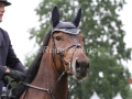 IMG_1560 Bernd Rubarths Uthello (Verden 2015)