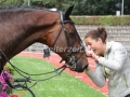 IMG_1583 Markus Brinkmanns Pikeur Dylon (Verden 2015)