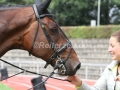 IMG_1585 Markus Brinkmanns Pikeur Dylon (Verden 2015)