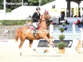 IMG_2512 Nina Schäfer u. Ocatavian 17 (Verden 2017)