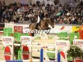 EF3A4679-Richard-Vogel-u.-Looping-Luna-VR-Classics-2023