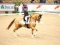 EF3A2504-Bianca-Nowag-Aulenbrock-u.-Florine-VR-Classics-Neumuenster-2023-FEI-World-Cup