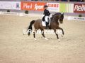 EF3A2516-Estelle-Wettstein-u.-Quaterboy-VR-Classics-Neumuenster-2023-FEI-World-Cup