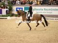 EF3A2556-Hendrik-Lochthowe-u.-Bricco-Barone-VR-Classics-Neumuesnter-2023-FEI-World-Cup