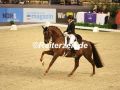EF3A2718-Simone-Pearce-u.-Fiderdance-VR-Classics-Neumuenster-2023-FEI-World-Cup