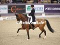 EF3A3482-Daniel-Bachmann-Andersen-u.-Zippo-M.I.-VR-Classics-2023-FEI-World-Cup