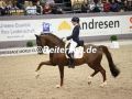 EF3A2942-Kirsten-Brouwer-u.-Foundation-VR-Classics-2023-FEI-World-Cup