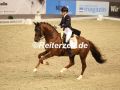 EF3A2975-Kirsten-Brouwer-u.-Foundation-VR-Classics-2023-FEI-World-Cup
