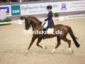 EF3A3015-Kirsten-Brouwer-u.-Foundation-VR-Classics-2023-FEI-World-Cup