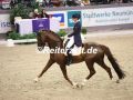 EF3A3016-Kirsten-Brouwer-u.-Foundation-VR-Classics-2023-FEI-World-Cup