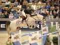 EF3A4135-Mascha-Krause-u.-Dylord-Blue-PS-VR-Classics-2025