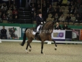IMG_0926-Ellen-Schulten-Baumer-u.-Groosos-Gentle-Neumuenster-2015