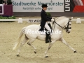 IMG_6473 Joao Victor Marcari Olivia u. Xama Dos Pinhais (Neumuenster 2017)