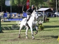 IMG_7928 Elmar Gundel u. Chicol 873 (Wedel 2018)
