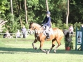 IMG_8042 Julia Plate u. Limbiskik 2 (Wedel 2018)