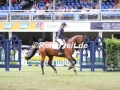 IMG_2023 Nicole Persson u. Sagolda (Wiesbaden 2017)