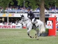 IMG_2224 Karel Cox u. Clintissima van Spalbeek Z (Wiesbaden 2017)