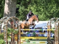 IMG_2432 Karel Cox u. Quickchin Wh Z (Wiesbaden 2017)