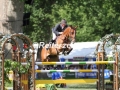 IMG_2607 Jeroen Dubbeldam u. Wilandro 3 (Wiesbaden 2017)