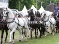 IMG_3128 achter Gespann zur Siegerehrung (Wiesbaden 2017)