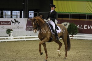 IMG_2167 Carola Koppelmann u. Deveraux B (Oldenburg 2014)