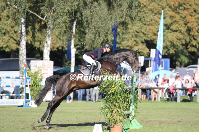 Landesturnier Bad Segeberg Landesmeisterschaften Schleswig Holsten Hamburg Springreiten Dressur Reiterzeit