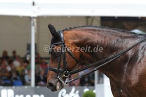 IMG_9050 Imperio 3 (Balve 2015)